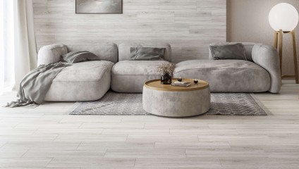 Tiles for the living room