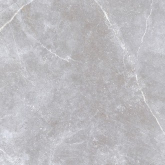 SPACE STONE gray 1200х600х8