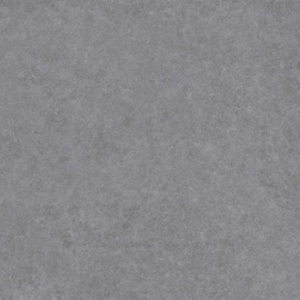 Area Cement grey 307х607