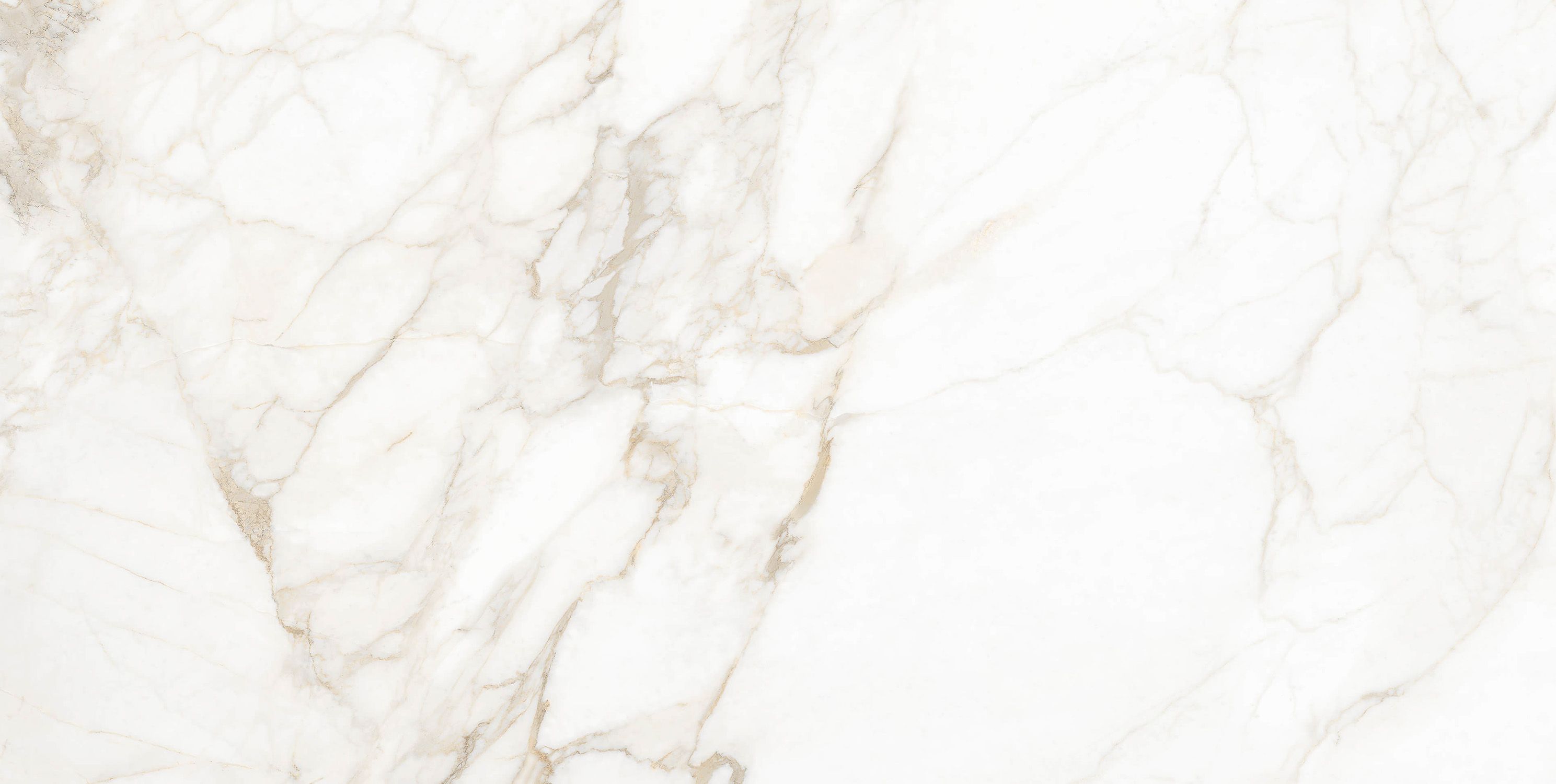 Calacatta Gold biały 1200х600х8