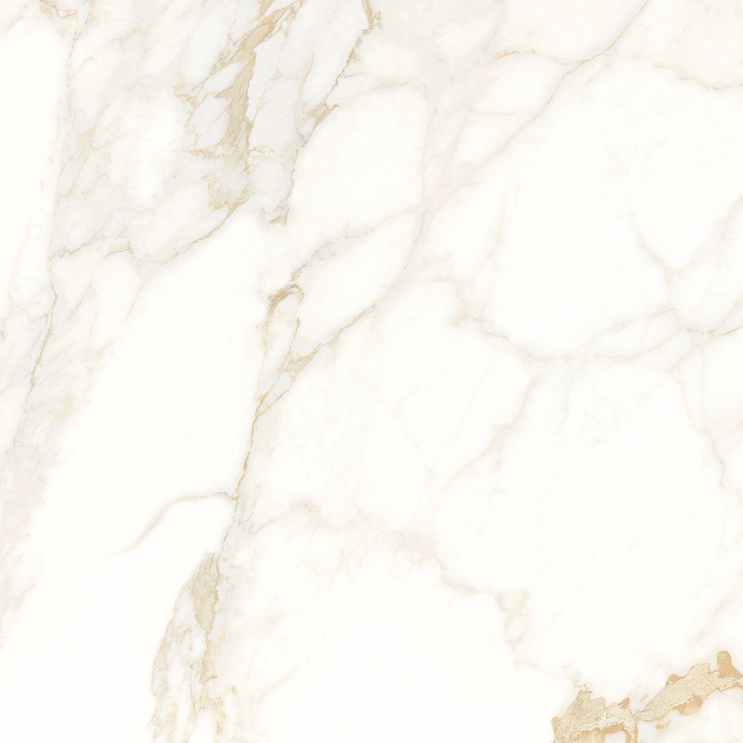 Calacatta Oro white 600x600x8