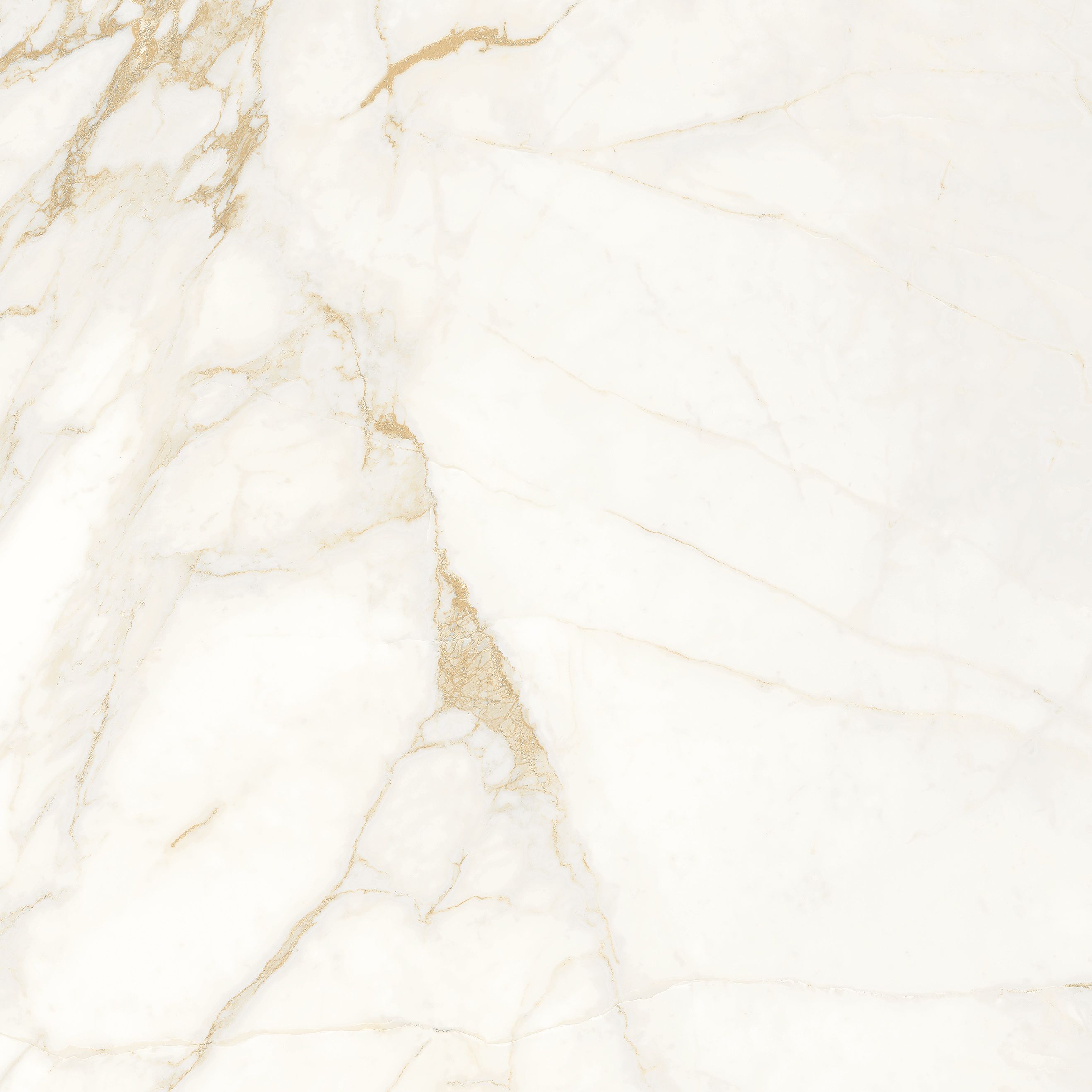 Calacatta Oro white 600x600x8