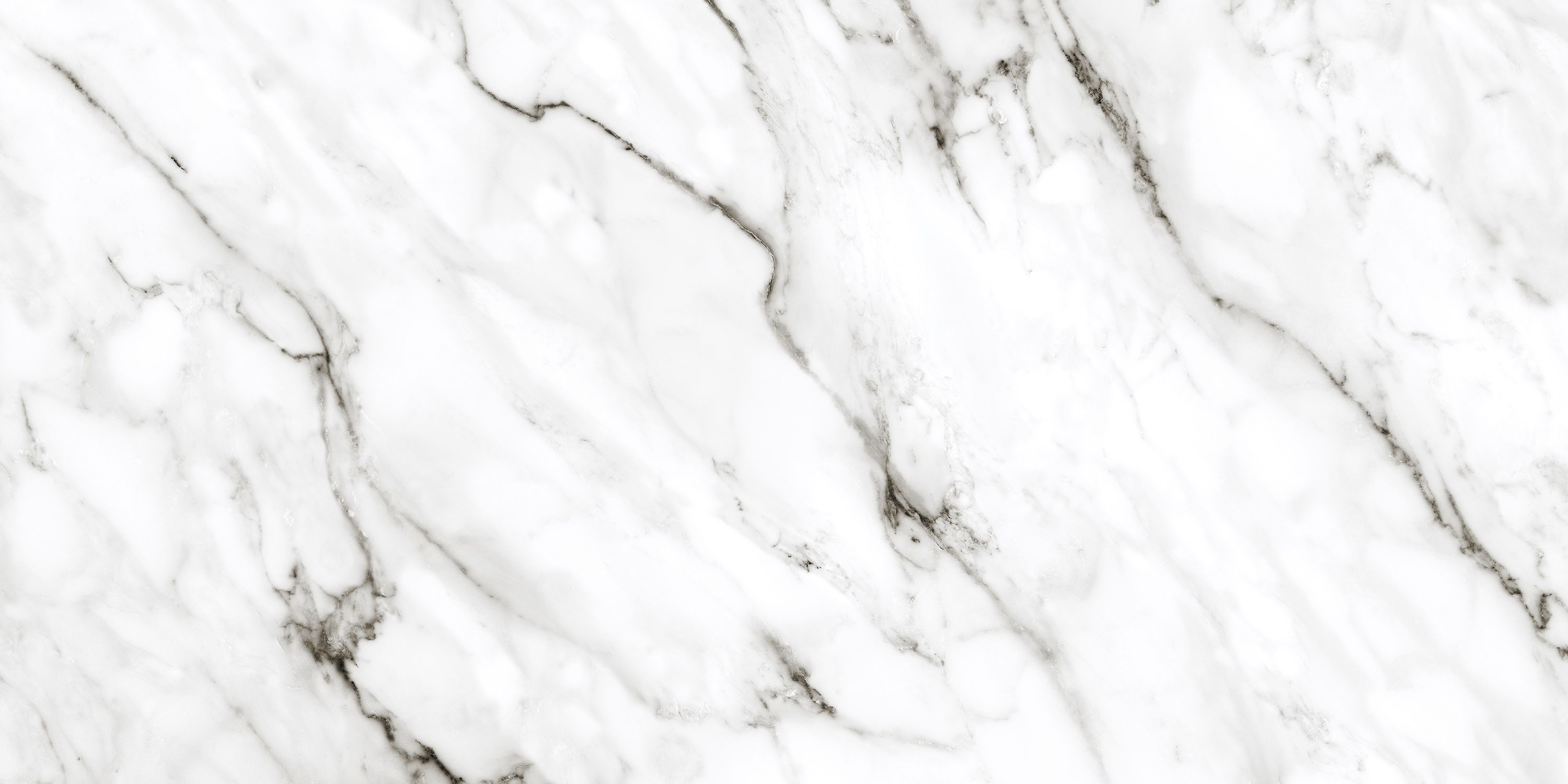 Marmo Roma white 1200x600x8