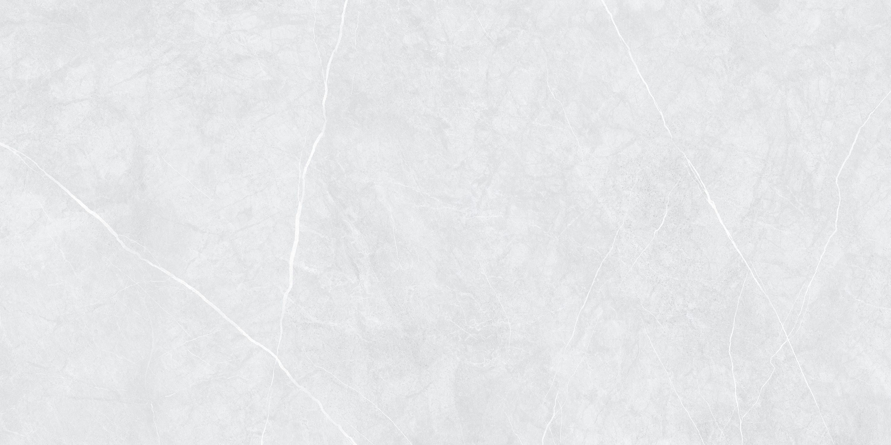 Silver Veil light gray 1200x600x8