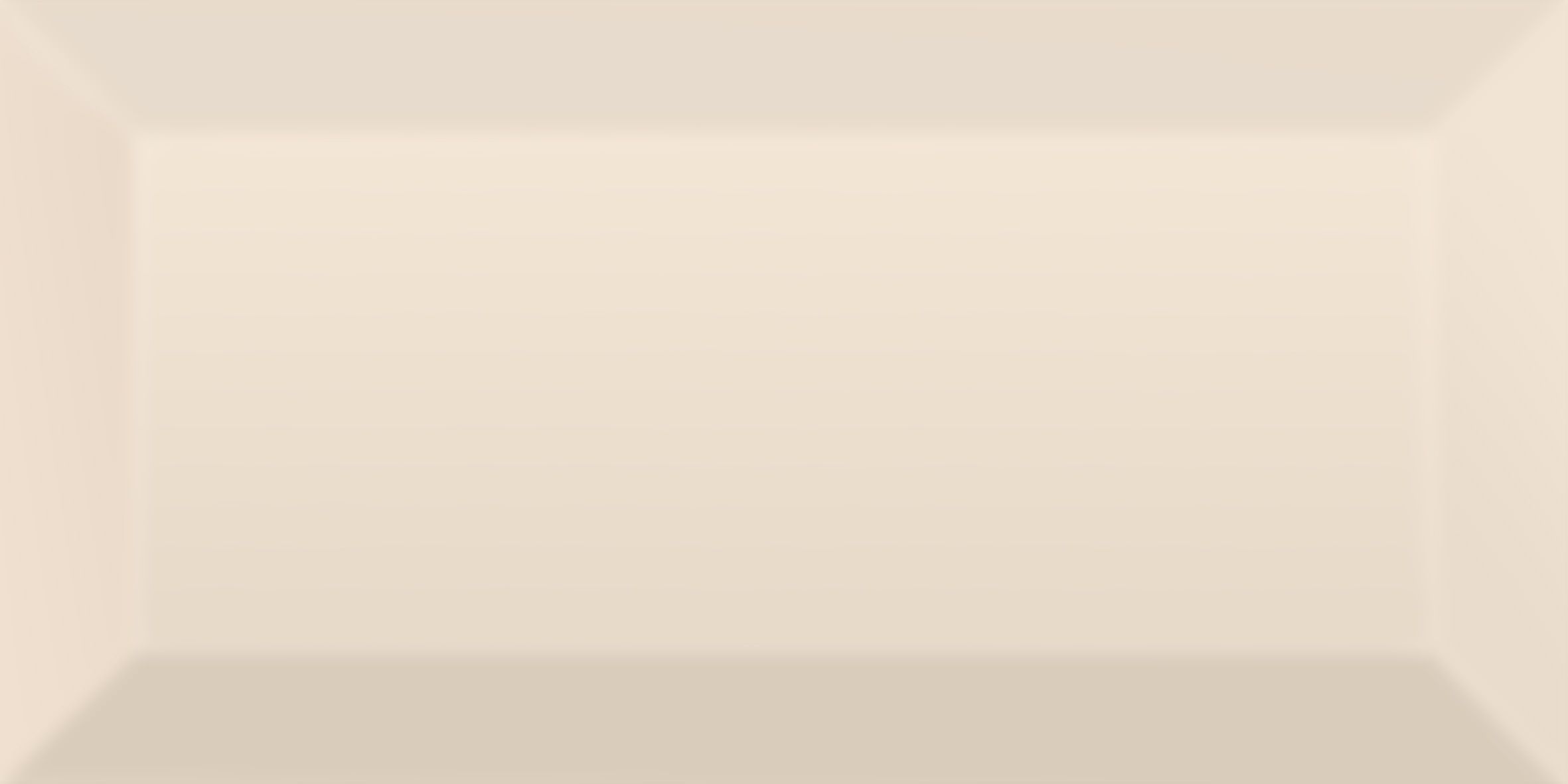 Плитка Metrotiles бежевый 100x200x7