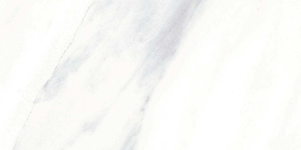 Metrotiles plane carrara biały 100x200