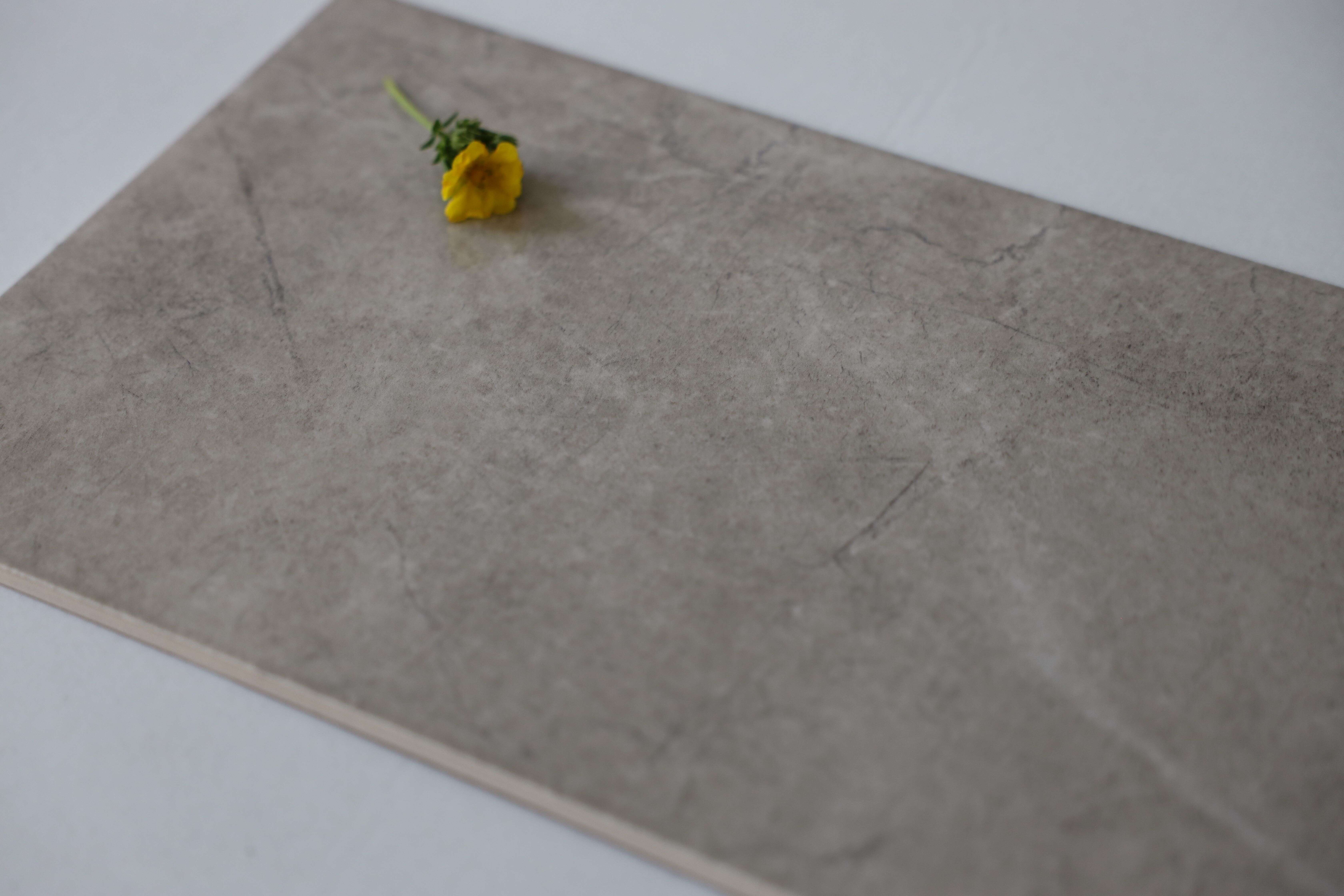 Stone Spirit beige 250x400