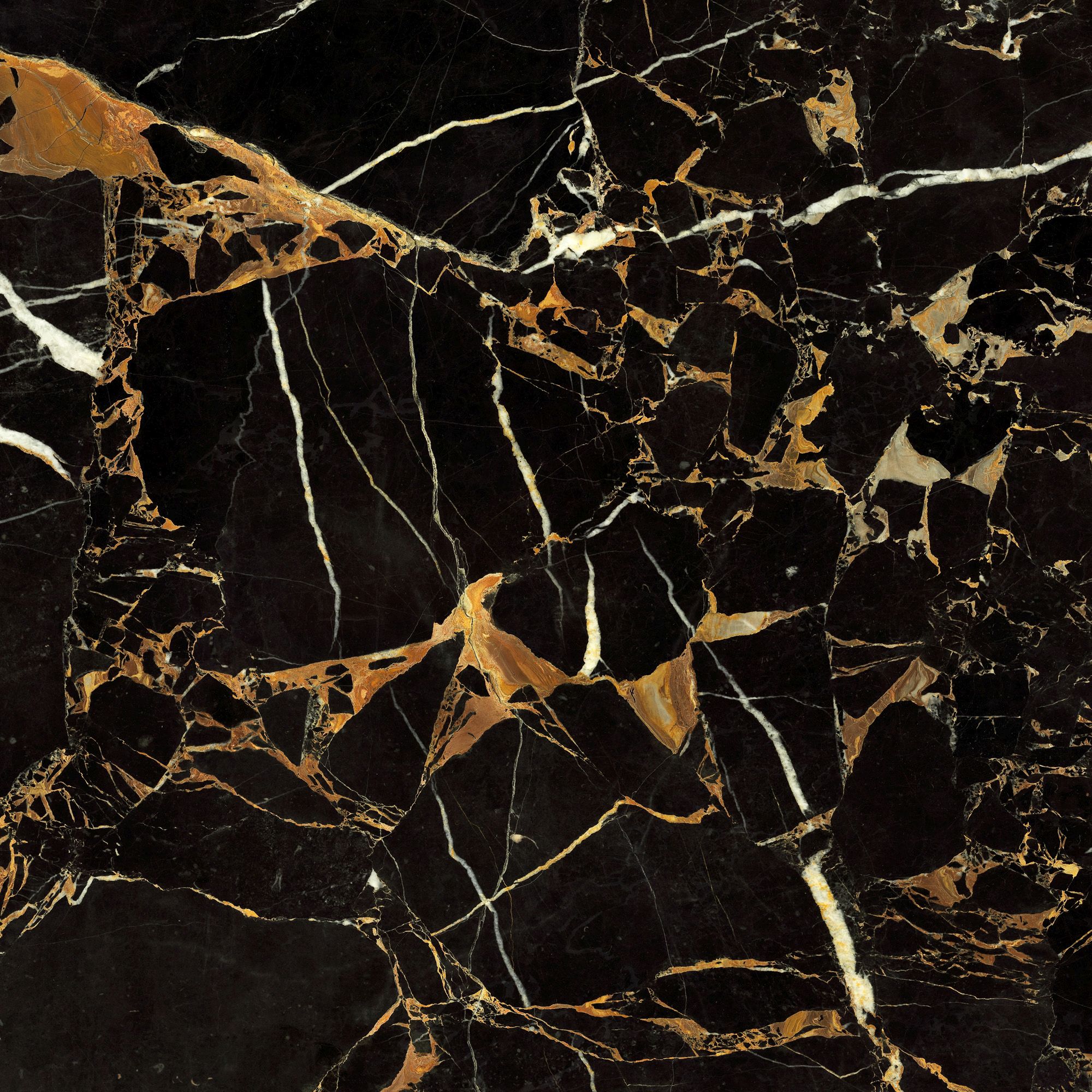 Saint Laurent чорний 600x600x8